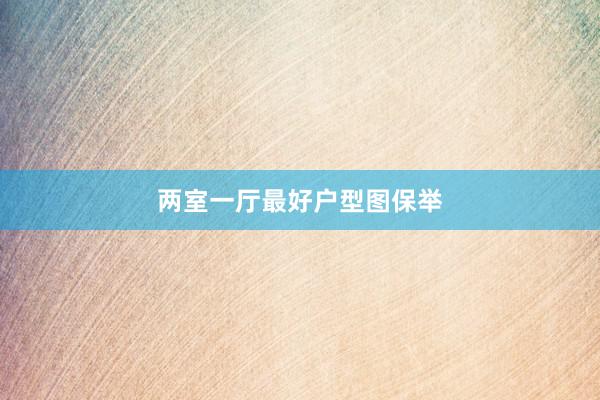 两室一厅最好户型图保举
