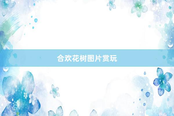 合欢花树图片赏玩